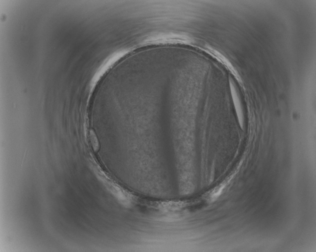 X0000079281277200612081744