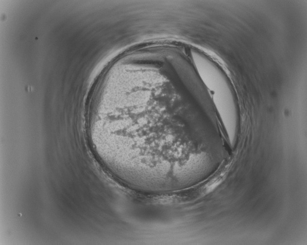 X0000079281279200612081744