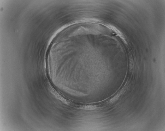 X0000079281280200612081744