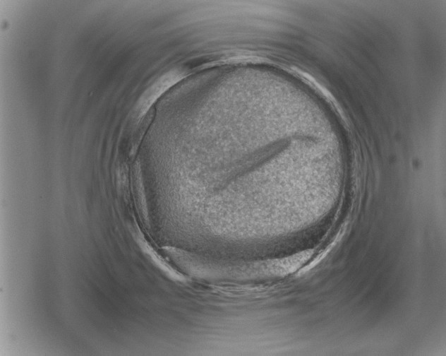 X0000079281281200612081744