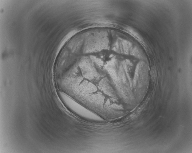 X0000079281283200612081744