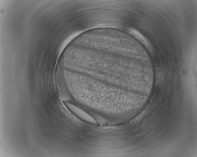 X0000079281284200612081744