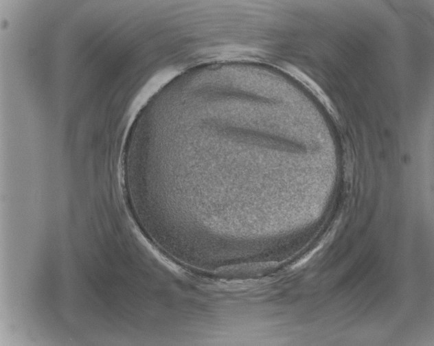 X0000079281285200612081744