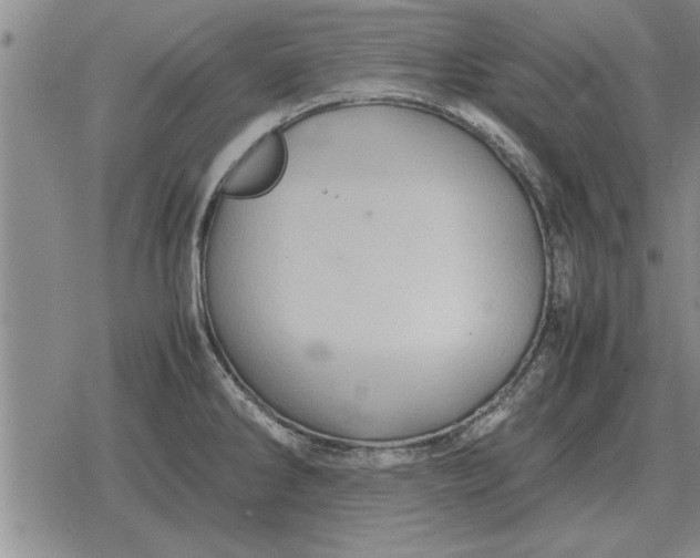 X0000079281286200612081744