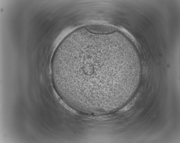 X0000079281287200612081744