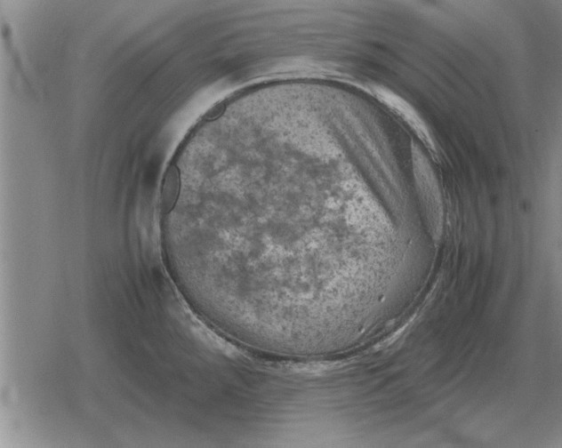 X0000079281288200612081744