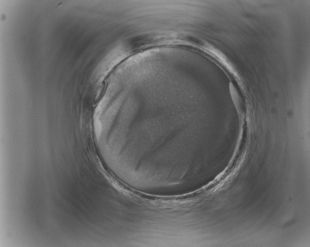 X0000079281289200612081744