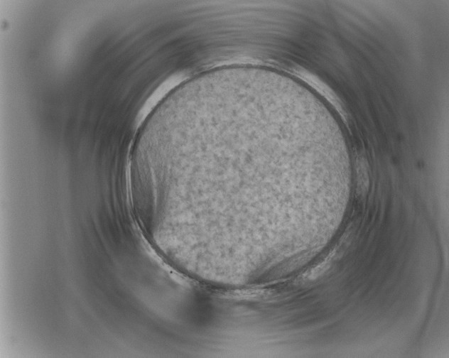 X0000079281290200612081744