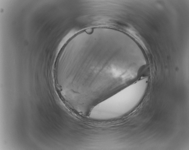 X0000079281291200612081744