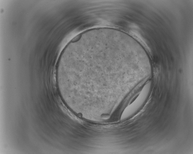 X0000079281292200612081744