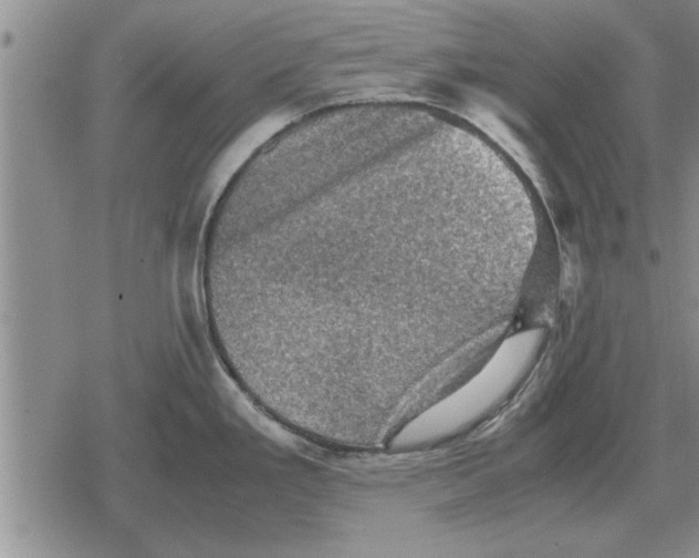 X0000079281293200612081744