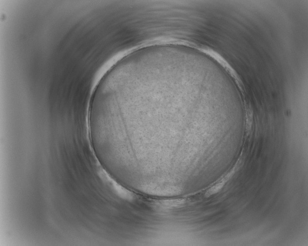 X0000079281294200612081744