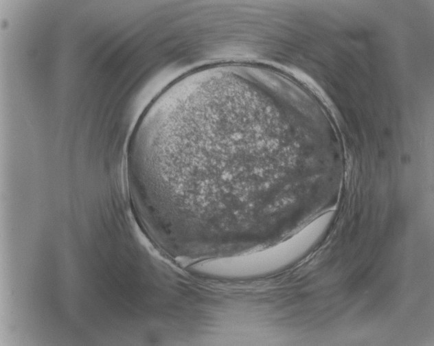 X0000079281295200612081744