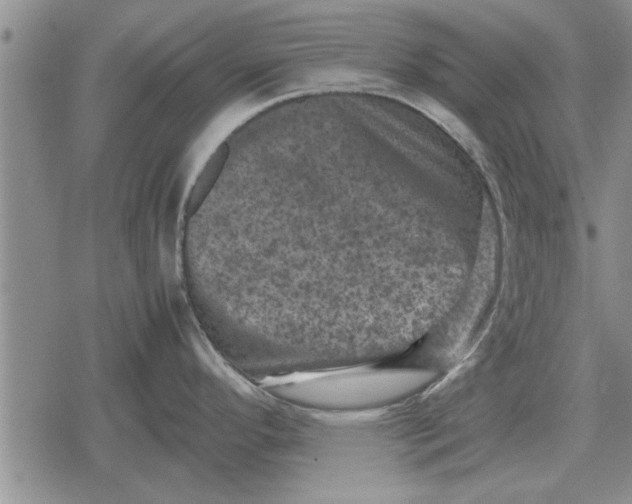 X0000079281296200612081744