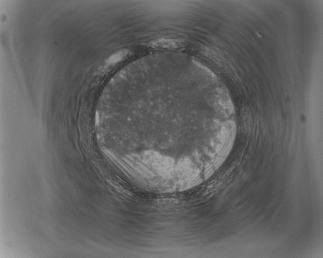 X0000079281297200612081743