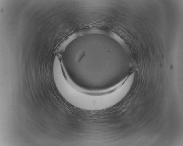 X0000079281298200612081743