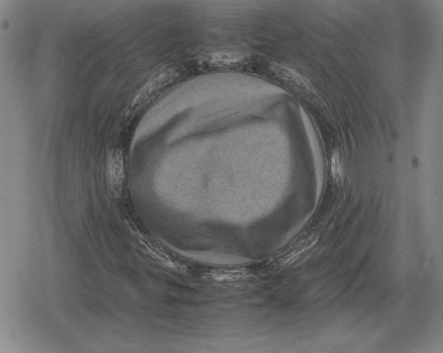 X0000079281299200612081743