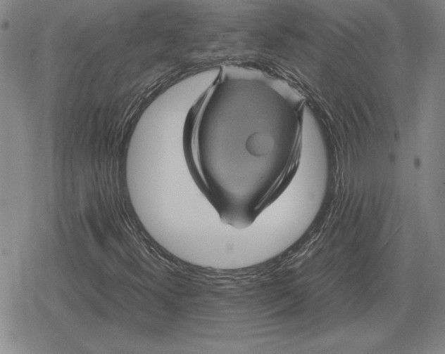 X0000079281300200612081743