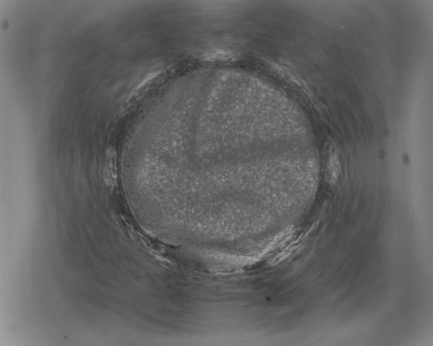 X0000079281301200612081743