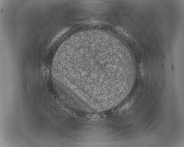 X0000079281302200612081743