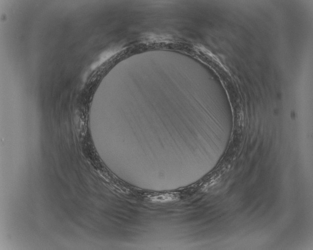 X0000079281303200612081743