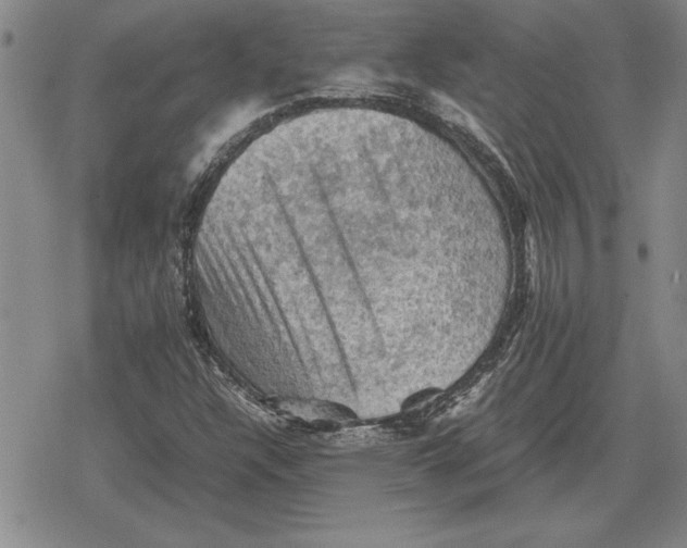 X0000079281304200612081743