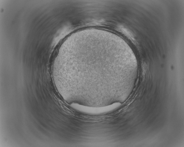 X0000079281308200612081743