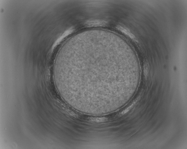 X0000079281309200612081743