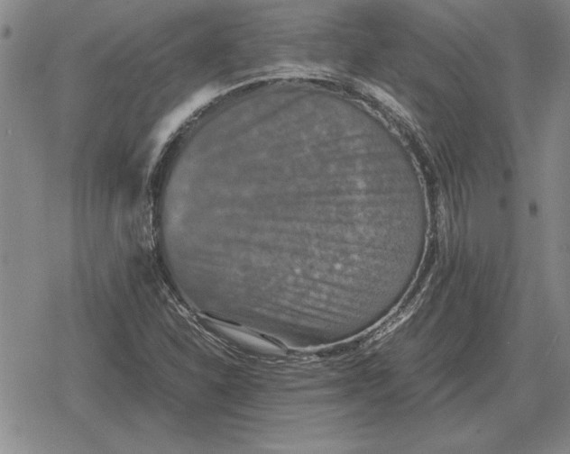 X0000079281310200612081743