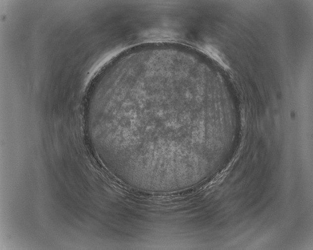 X0000079281311200612081743