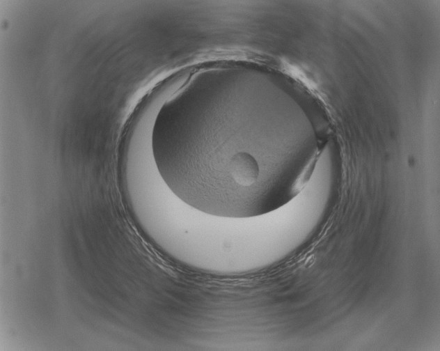 X0000079281312200612081743