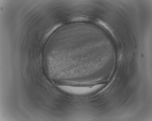 X0000079281313200612081743