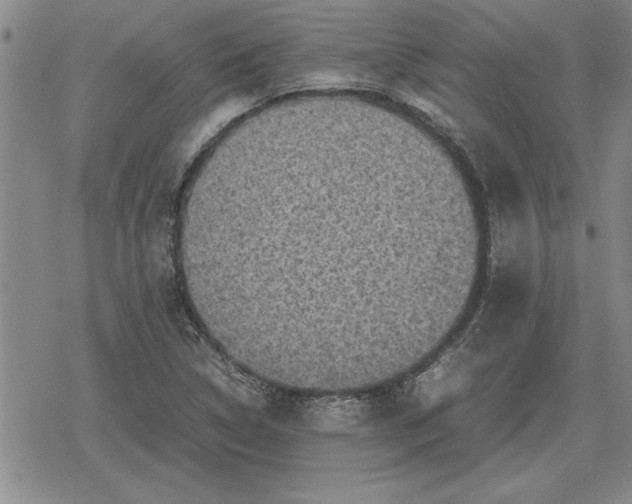 X0000079281314200612081743