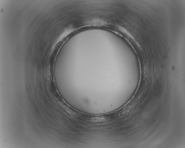 X0000079281315200612081743