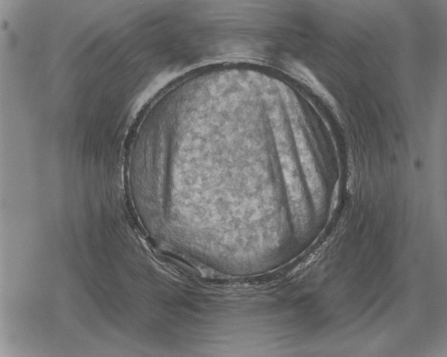 X0000079281316200612081743