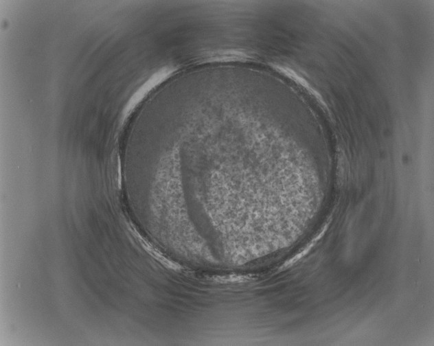 X0000079281317200612081743