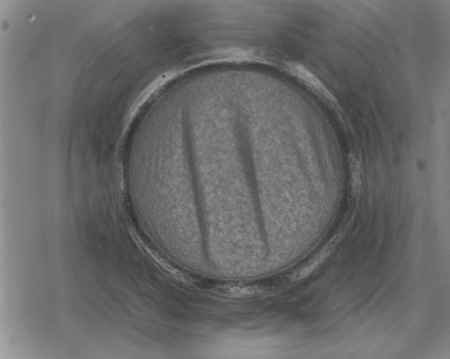 X0000079281318200612081743