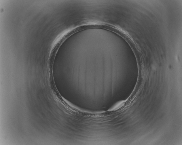 X0000079281319200612081743