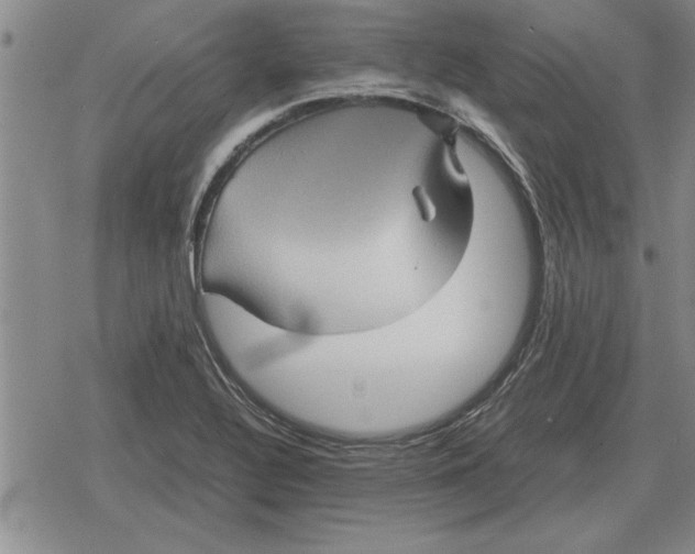 X0000079281320200612081743