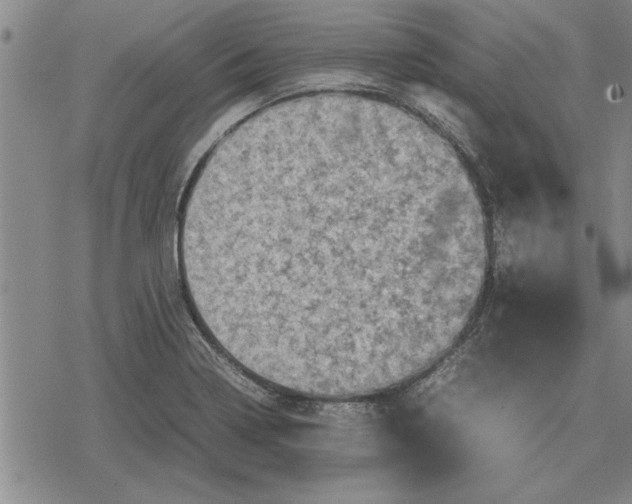 X0000079281322200612081743