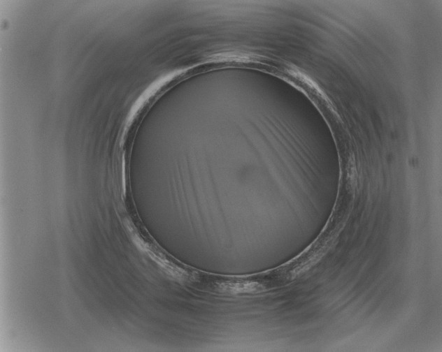 X0000079281323200612081743