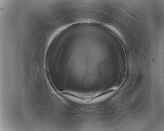 X0000079281327200612081743