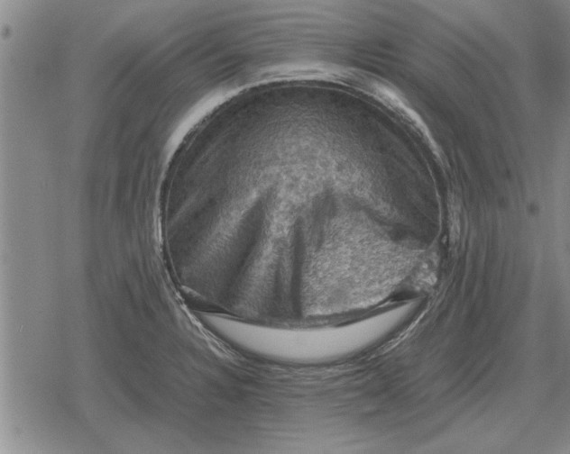 X0000079281328200612081743