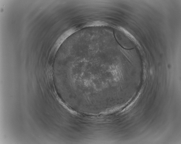 X0000079281329200612081743