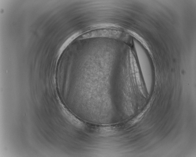 X0000079281330200612081743