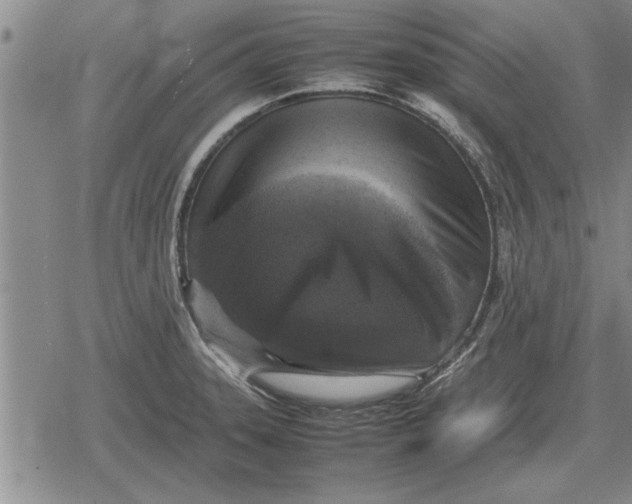 X0000079281331200612081743