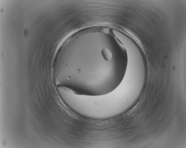 X0000079281332200612081743