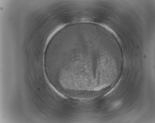 X0000079281333200612081743