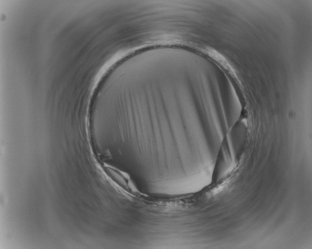 X0000079281334200612081743