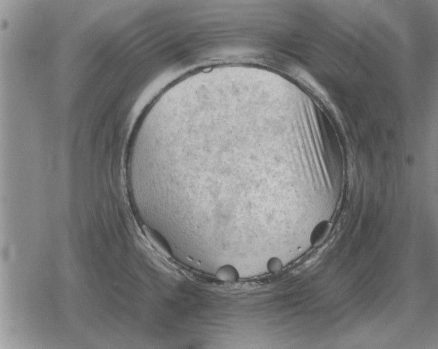 X0000079281336200612081743